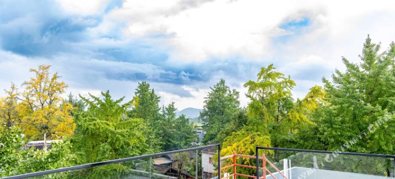 腾冲诗意栖居温泉精品民宿(银杏村店)图片