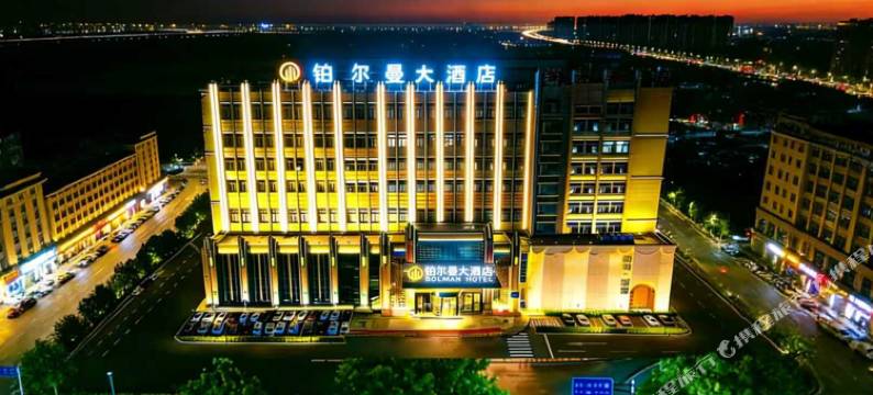 铂尔曼大酒店(安陆东大时代广场店)图片