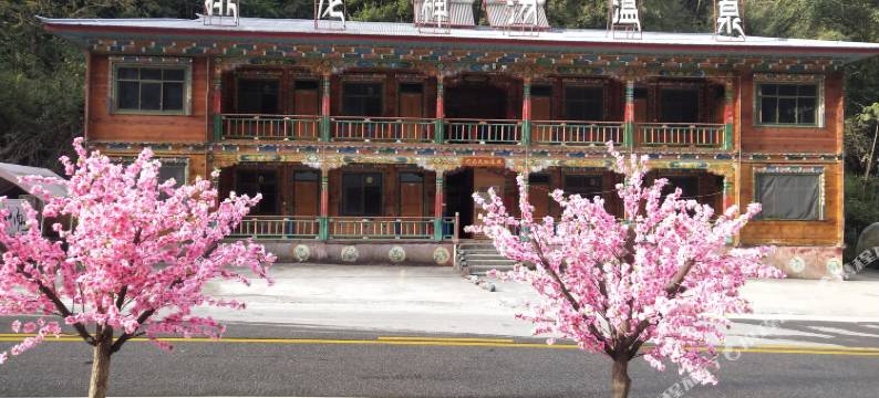 林芝排龙神汤温泉酒店图片
