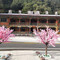 林芝排龙神汤温泉酒店
