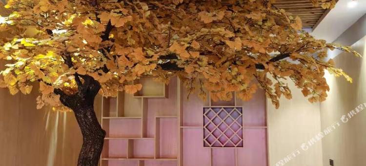 天峨桂美民宿(广西龙滩大峡谷国家森林公园店)图片