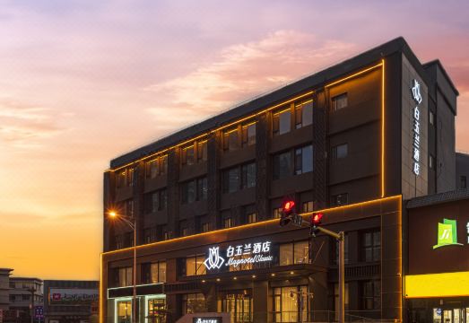 Magnolia Hotel Hotel Overview