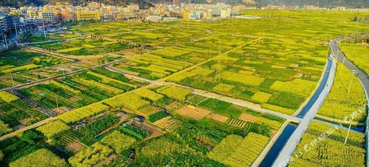 洞头温金舍民宿图片