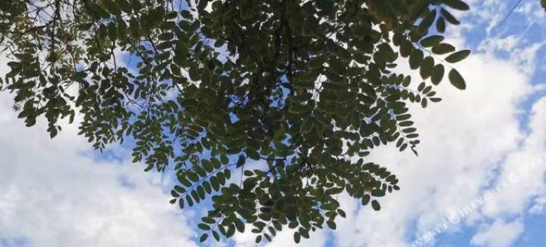 歙县深渡徽梦宾馆图片