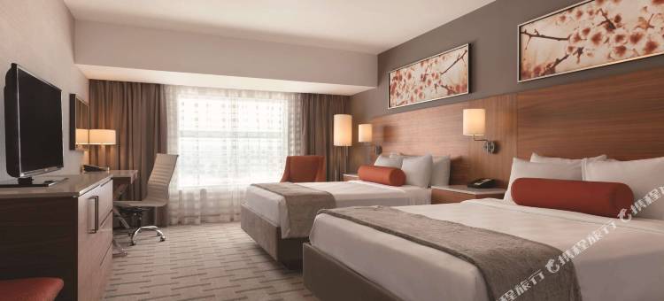 卡尔加里机场丽笙酒店及会议中心(Radisson Hotel & Conference Centre Calgary Airport)图片