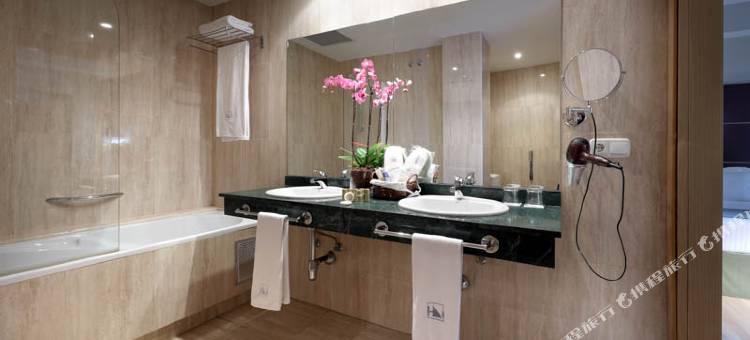 塔特罗斯艾克斯酒店(Exe Tartessos)图片