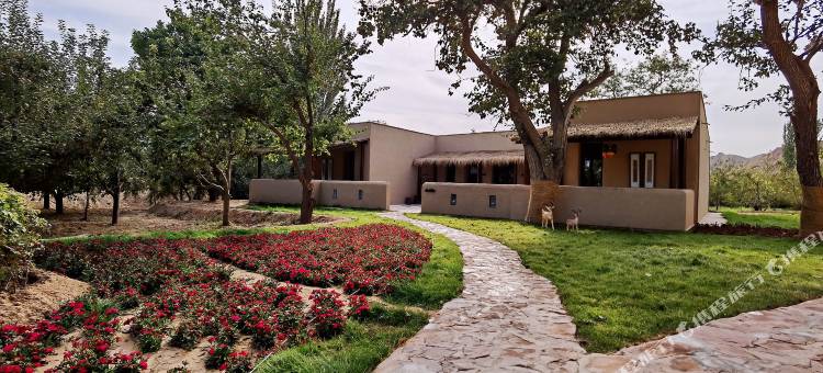 黄羊古落艺宿酒店图片