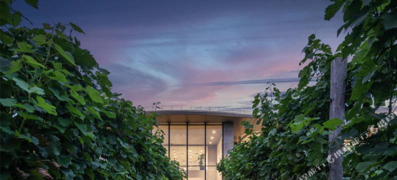 逃牛岭度假酒庄图片