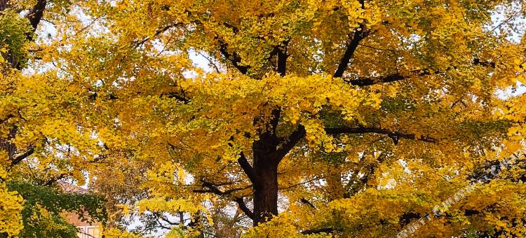 长兴乡遇民宿图片