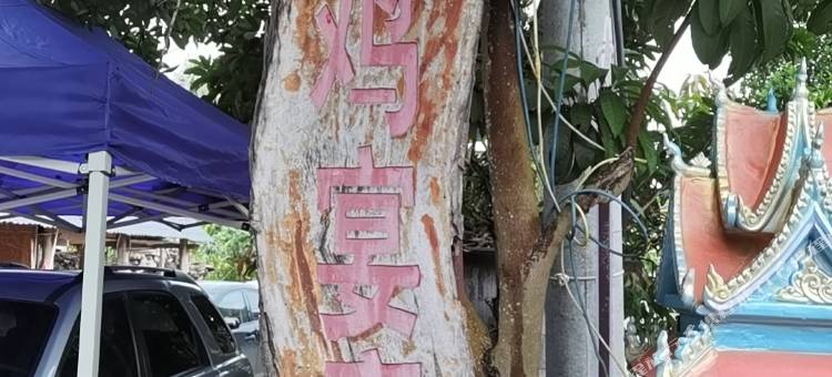 景洪斗鸡宴府民宿图片