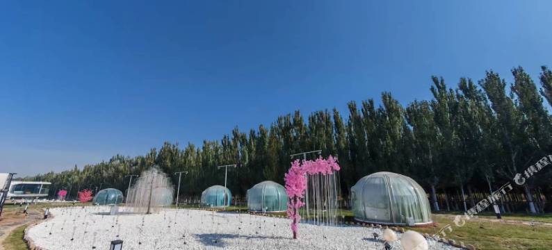 漠海山境露营基地图片