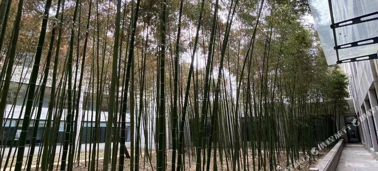 金州宾馆图片