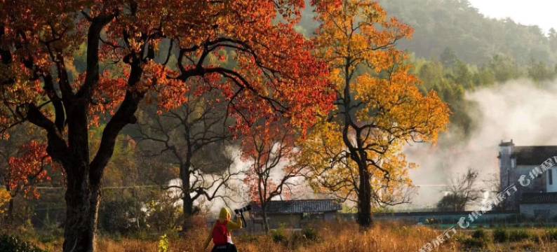 素朴·汀泉民宿(婺源篁岭店)图片