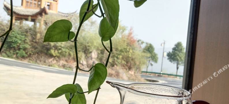 谁在秋千民宿图片