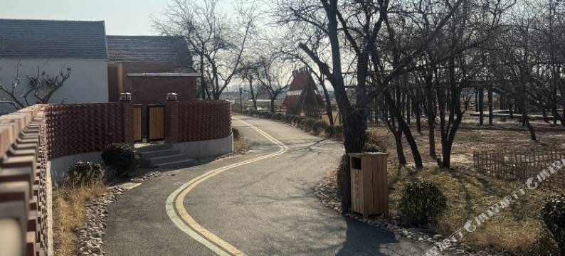 商河枣呀民宿图片