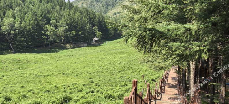 驼梁福满楼民宿图片