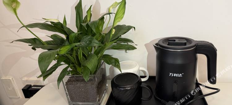 莫干山乐野·听山民宿(庾村广场店)图片