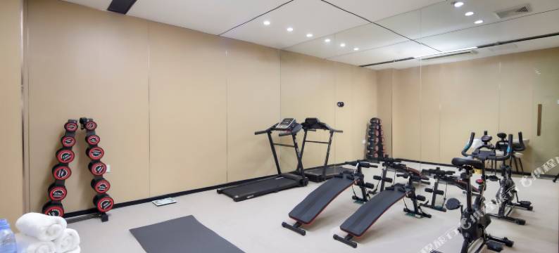 丽呈铂锐酒店(广州芳村地铁站店)图片