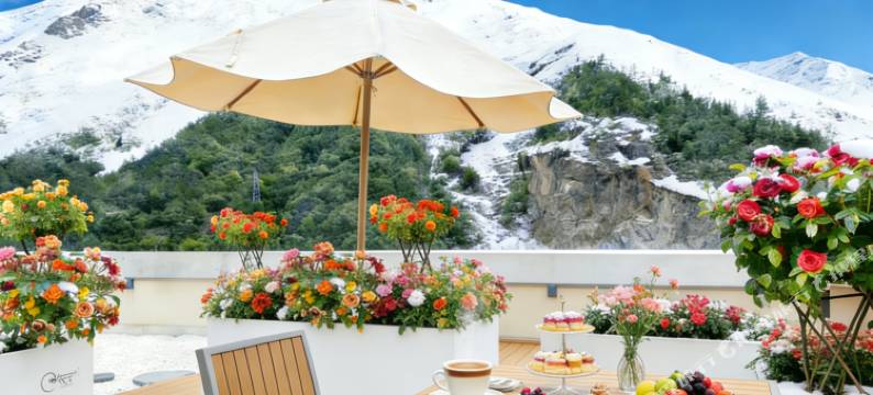 文若贡嘎壹号观景雅院(磨西镇海螺沟冰川森林公园游客中心店)图片