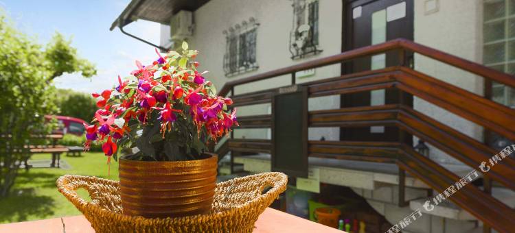 Rikli Rodine公寓，靠近布莱德(Apartments Rikli Rodine Near Bled)图片
