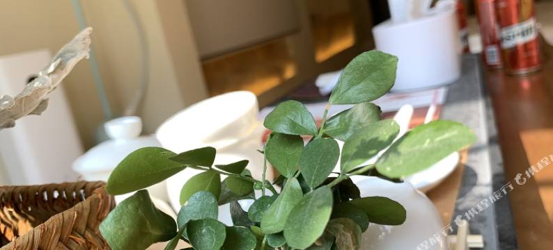 缘宿·设计师民宿(太原龙城大街店)图片