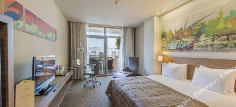 伊斯坦布尔格伦酒店(Gorrion Hotel Istanbul)图片