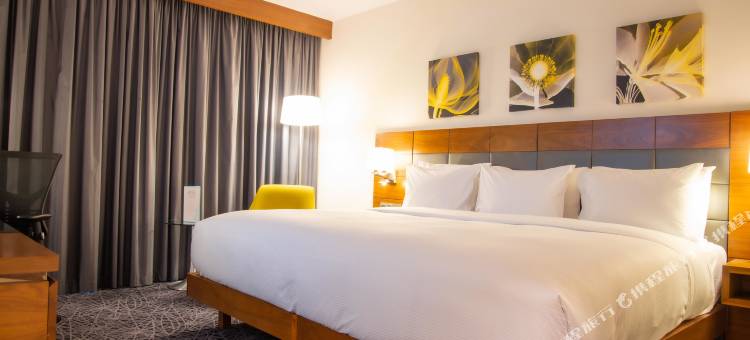 内罗毕机场希尔顿花园酒店(Hilton Garden Inn Nairobi Airport)图片