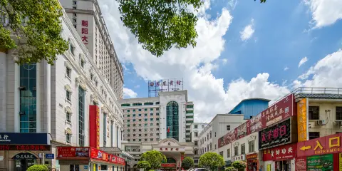 南寧鳳凰賓館(火車站地鐵站店)