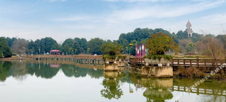 花美时酒店(成都青白江万达广场店)图片