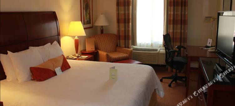 斯塔克维尔希尔顿花园酒店(Hilton Garden Inn Starkville)图片