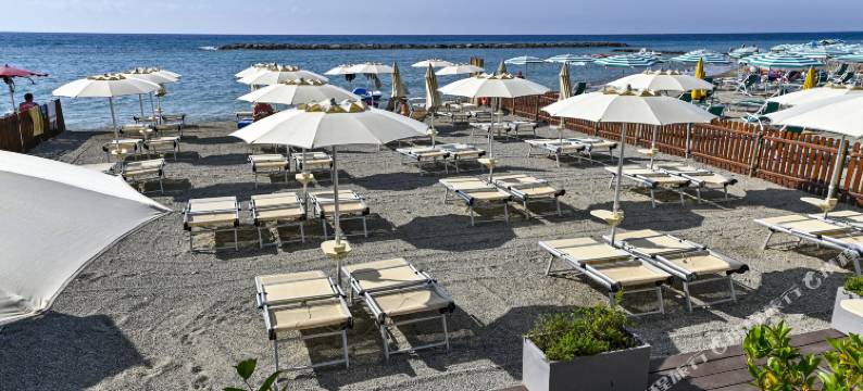 黛勒洛斯酒店(Hotel Delle Rose)图片