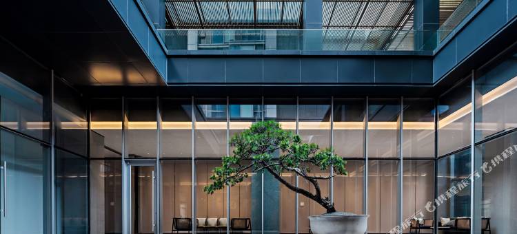 合肥滨湖新区希尔顿花园酒店图片