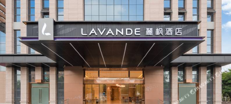 麗枫酒店(佛山三水大塘政府店)图片