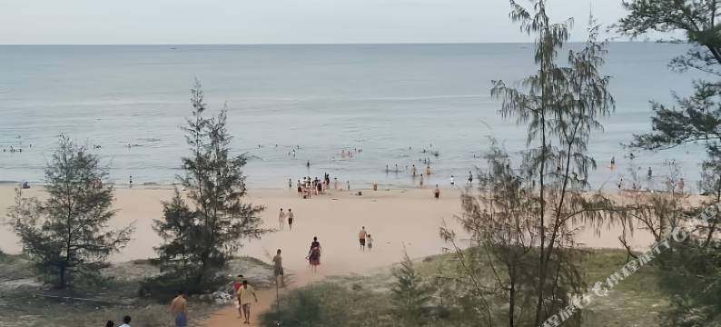 View Nhat le Beach Hotel图片