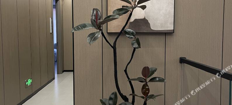 塔河吉智宾馆图片