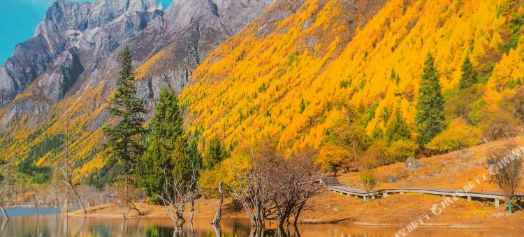 四姑娘栖心于谷民宿图片