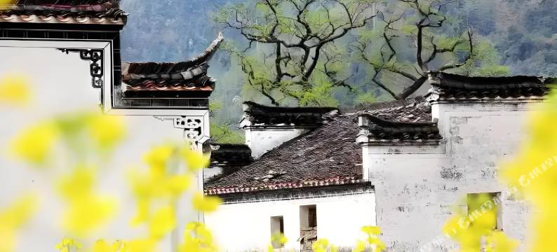 婺源篁岭·山语云舍(婺源篁岭风景区店)图片