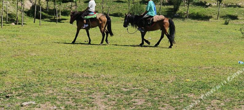 那拉提青布拉克民宿图片