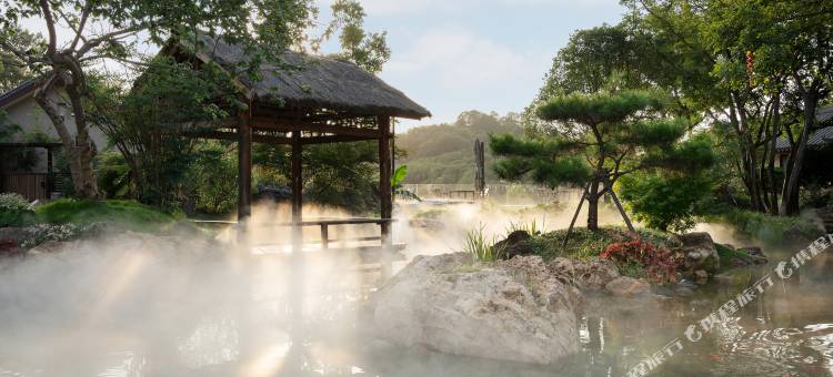 信阳松林苑民宿图片