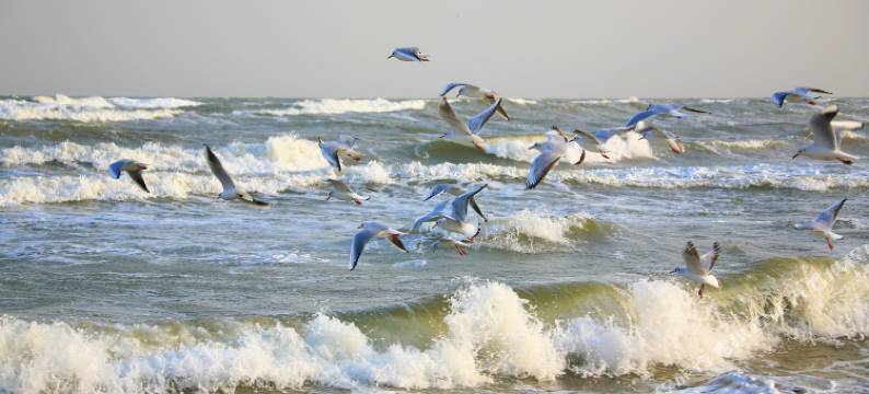 北戴河喜美民宿(平水桥浴场店)图片