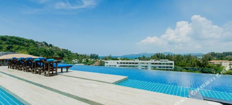 The Aristo by Holy Cow 420图片