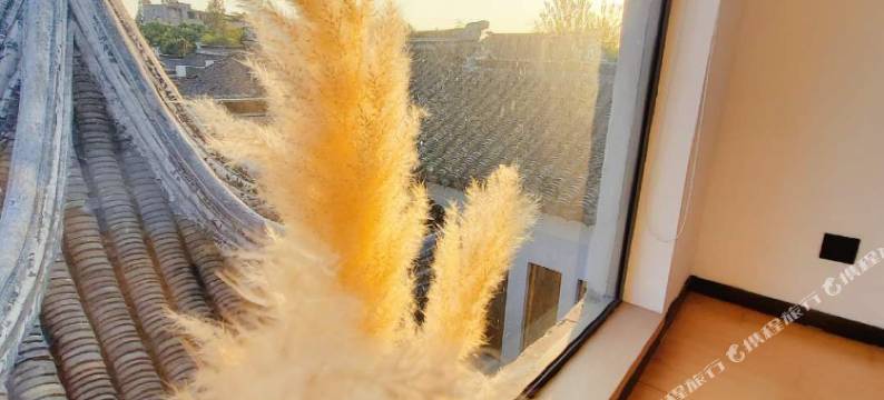 巷子里的阳光民宿(苏州拙政园平江路店)图片