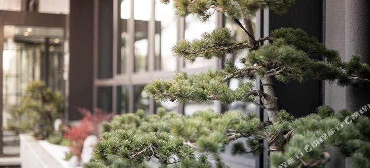 全季酒店(泰州老街凤城河景区店)图片