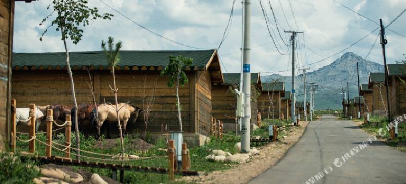 琼库什台四美营地图片