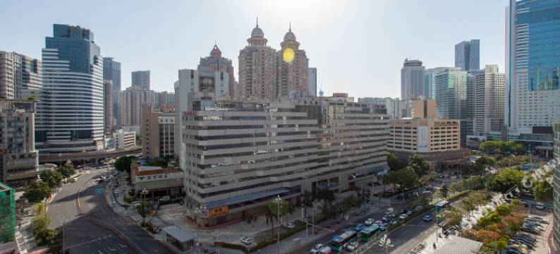 深圳凯云酒店(罗湖口岸向西村地铁站店)图片