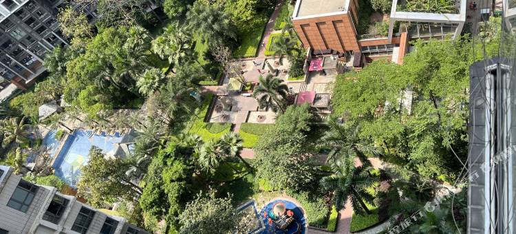 深圳核儿猫舍民宿图片