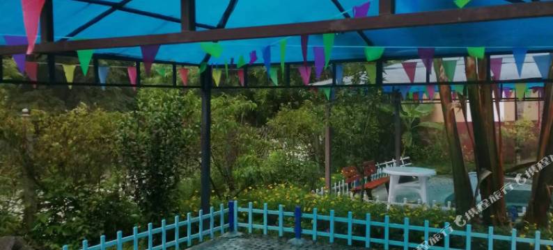 林芝排龙神汤温泉酒店图片