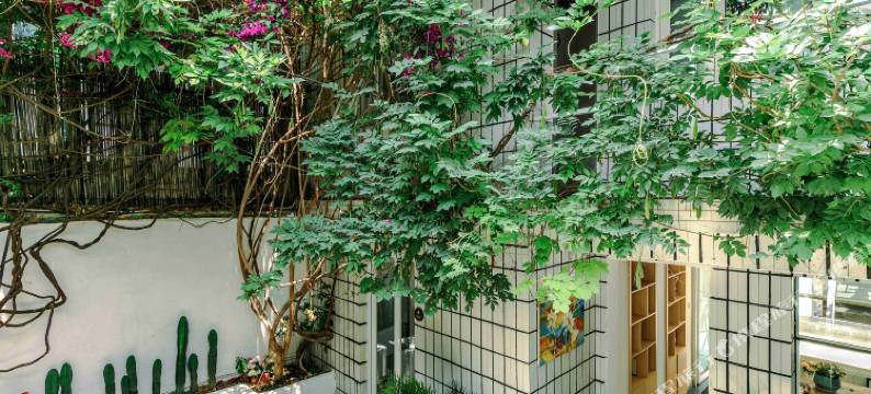 半圆咖啡客栈(大理古城店)图片