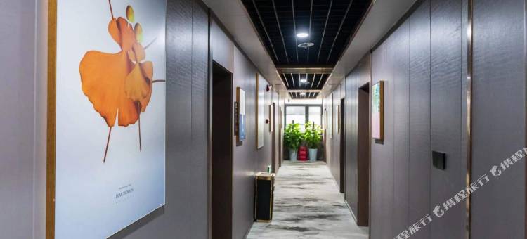 登封悦享酒店图片