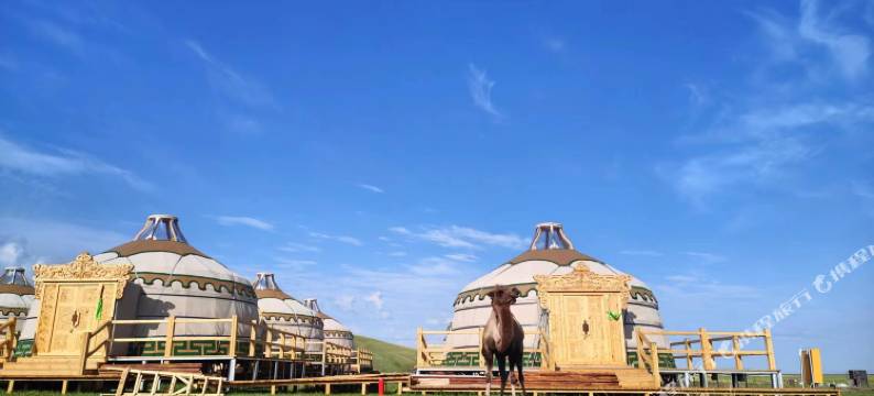 蒙古之韵野奢营地(中俄边境湿地景区店)图片